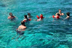 snorkeling, swimming pigs , turtles, harbor tour