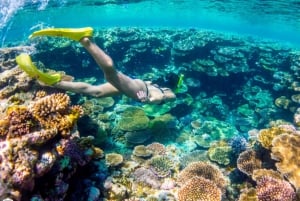 Nassau: Katamaranseilas og snorkletur