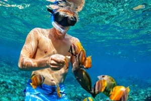 Nassau: Excursión en catamarán y snorkel