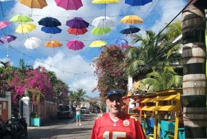 Nassau: Hop-On/Hop-Off-Bustour