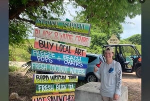 Nassau: Hop-On/Hop-Off-Bustour