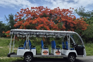 Nassau: Hop-On/Hop-Off-Bustour