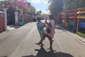 Nassau: Hop-On/Hop-Off-Bustour