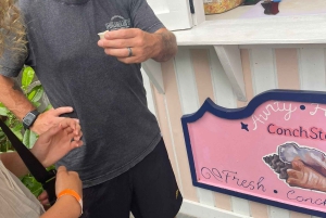 Nassau: Hop-On/Hop-Off-Bustour