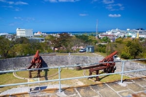 Nassaun kaupunkikierros: Charles Townen viehätysvoima