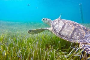 Nassau: tour de la ciudad con entrada a la Galería Nacional de Arte