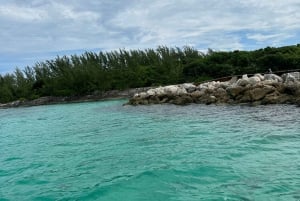 Nassau Cruise Port: Guided Historic Sightseeing Tour