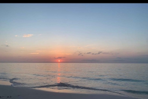 Nassau Cruise Port: Opastettu historiallinen kiertoajelu