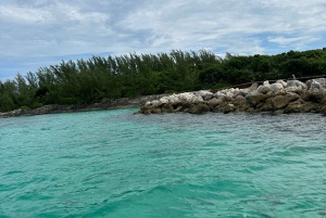 Nassau Cruise Port: Opastettu historiallinen kiertoajelu