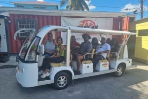 Nassau: Electric Bus Tour with Food & Drink Samples