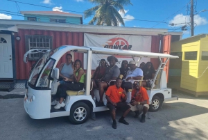 Nassau: Electric Bus Tour with Food & Drink Samples