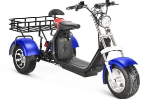 Nassau: Sähköinen kolmipyöräretki paikallisten herkkujen ja juomien kera