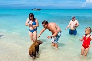 Nassau: Heldagsfestkatamaran med privat strand och lunch