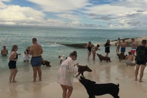 Nassau: Heldagsfestkatamaran med privat strand och lunch