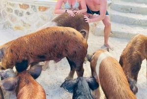 Nassau: Heldagsfestkatamaran med privat strand och lunch