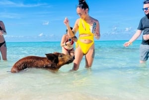 Nassau: Heldagsfestkatamaran med privat strand och lunch