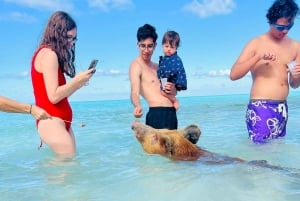 Nassau: Heldagsfestkatamaran med privat strand och lunch