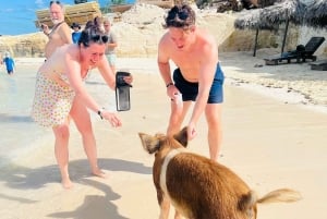 Nassau: Heldagsfestkatamaran med privat strand och lunch
