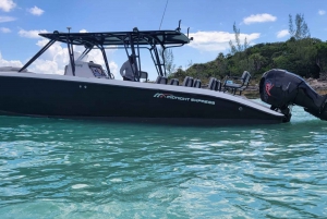 Nassau: 3-Stop Turtle View and Snorkel Reefs Speedboat Tour