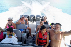 Nassau: 3-Stop Turtle View and Snorkel Reefs Speedboat Tour