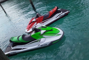 Nassau: Guided Jet Ski Tour and Swimming with Pigs