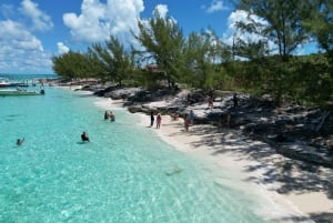 Nassau: Cruzeiro guiado de meio dia em Cay, Sea Life Watch e mergulho com snorkel