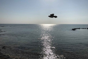 Nassau: visita guiada de meio dia com recolha