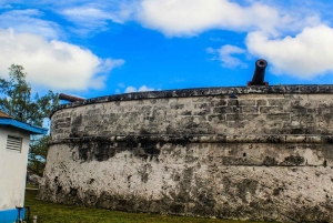 Nassau: visita guiada de meio dia com recolha