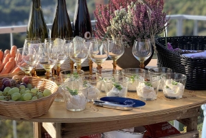 Nassau: visita guiada de meio dia com recolha