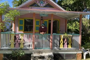 Nassau: Recorrido Histórico y Cultural con Traslado
