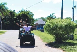 Nassau: Historisk ATV- og buggy-tur