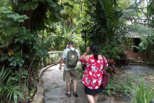 Nassau: Historic Downtown Nassau Bike Tour