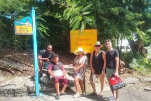 Nassau: Historical & Cultural Walking Tour