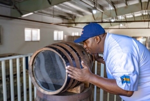 Nassau: Island Highlights Tour with Rum Tasting