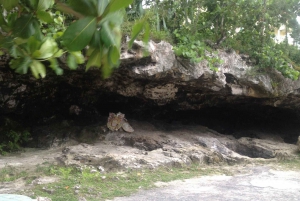 Nassau: Island Jeep Buggy Tour