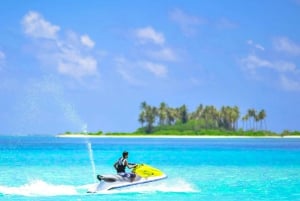 Ultimate Nassau Adventure: Pigs, Jetskis & Snorkeling