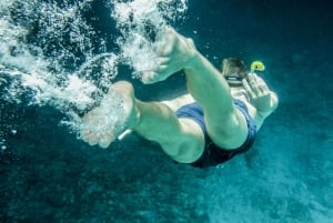 Ultimate Nassau Adventure: Pigs, Jetskis & Snorkeling