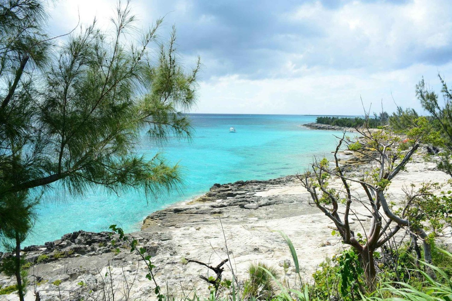 Nassau Mystery & Nature Tour: Bat Caves, Trails & Legends