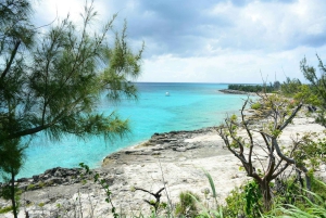 Nassau Mystery & Nature Tour: Bat Caves, Trails & Legends