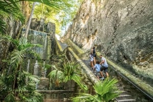 Nassau Mystery & Nature Tour: Bat Caves, Trails & Legends