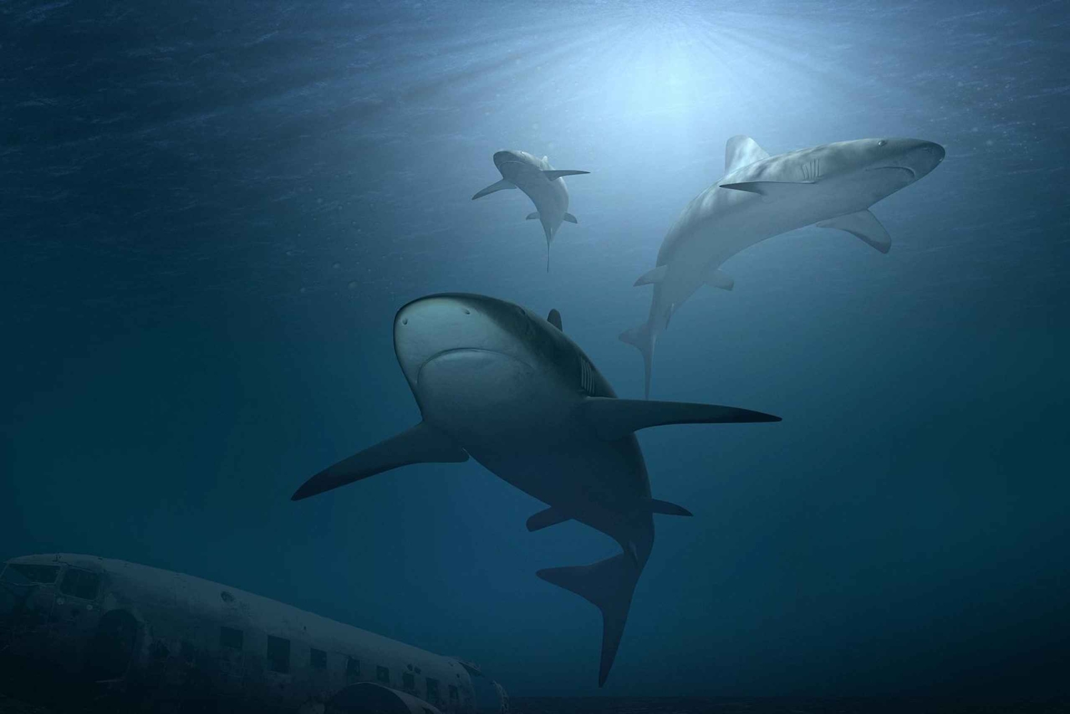 Nassau: passeio de um dia à Ilha das Pérolas com almoço e mergulho com snorkel