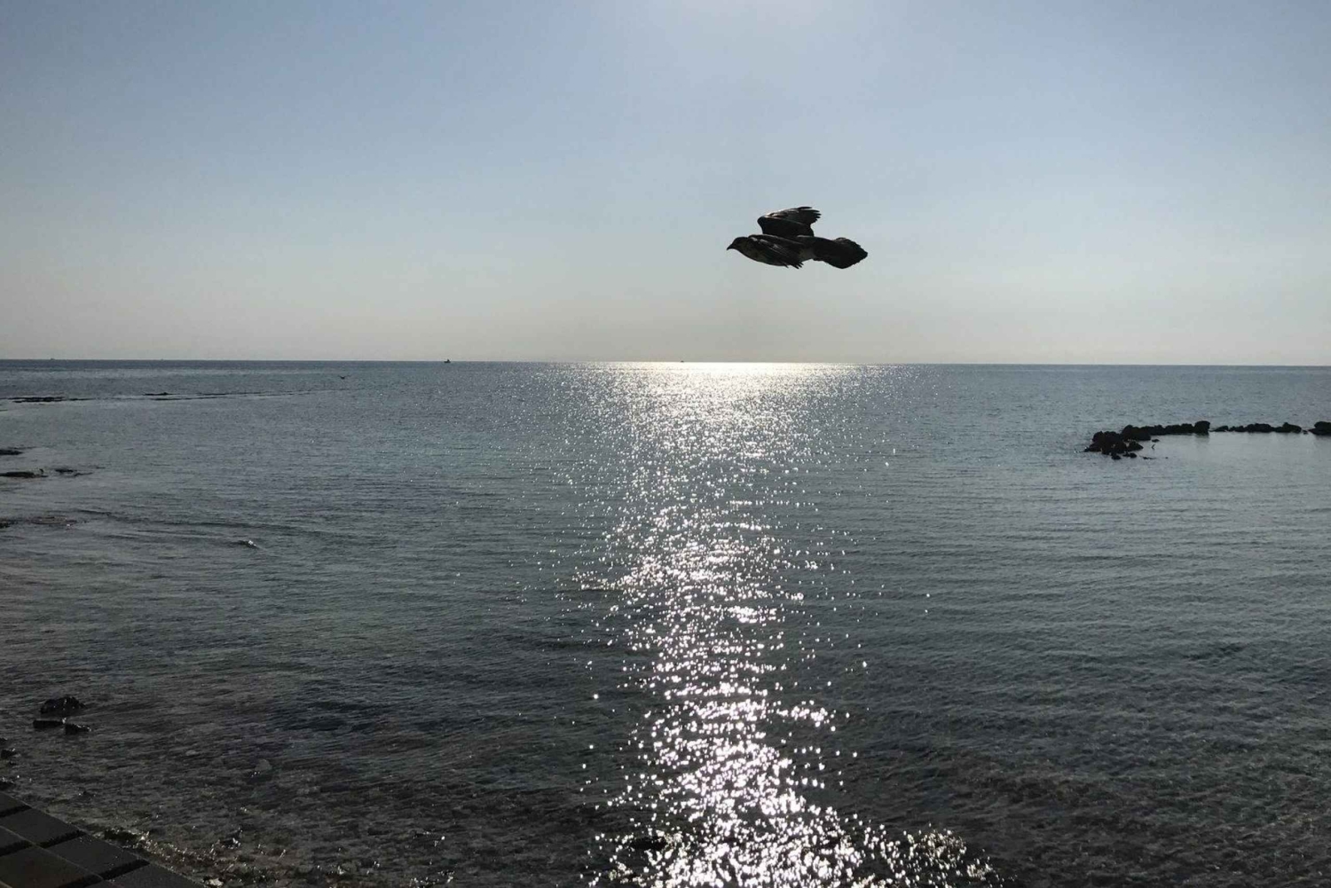 Nassau: passeio de um dia à Ilha das Pérolas com almoço e mergulho com snorkel