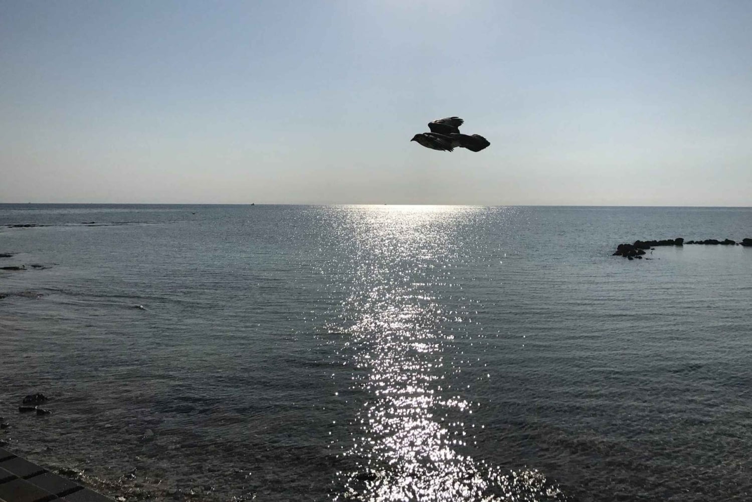 Nassau: Pearl Island Day Trip with Lunch and Snorkeling