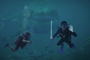 Nassau: excursión de 1 día a Pearl Island con almuerzo y snorkel