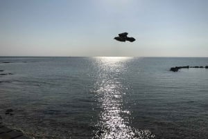 Nassau: excursión de 1 día a Pearl Island con almuerzo y snorkel