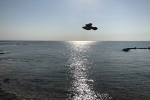 Nassau: Pearl Island Day Trip with Lunch and Snorkeling