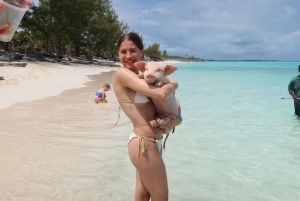 Nassau: Pig Beach Island Ticket with Hotel Transfer