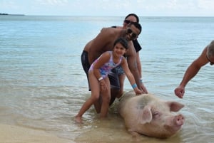 Nassau: Pig Beach Island Ticket with Hotel Transfer