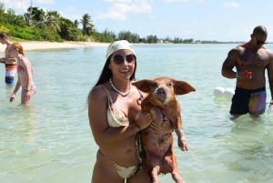 Nassau: Pig Beach Island Ticket with Hotel Transfer