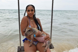 Nassau: Pig Beach Island Ticket with Hotel Transfer